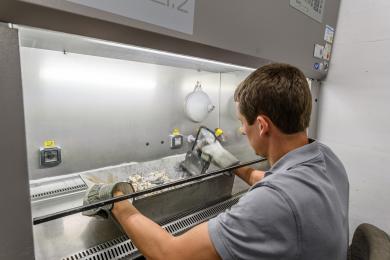 Einäscherungsanlage Krematorium Luzern